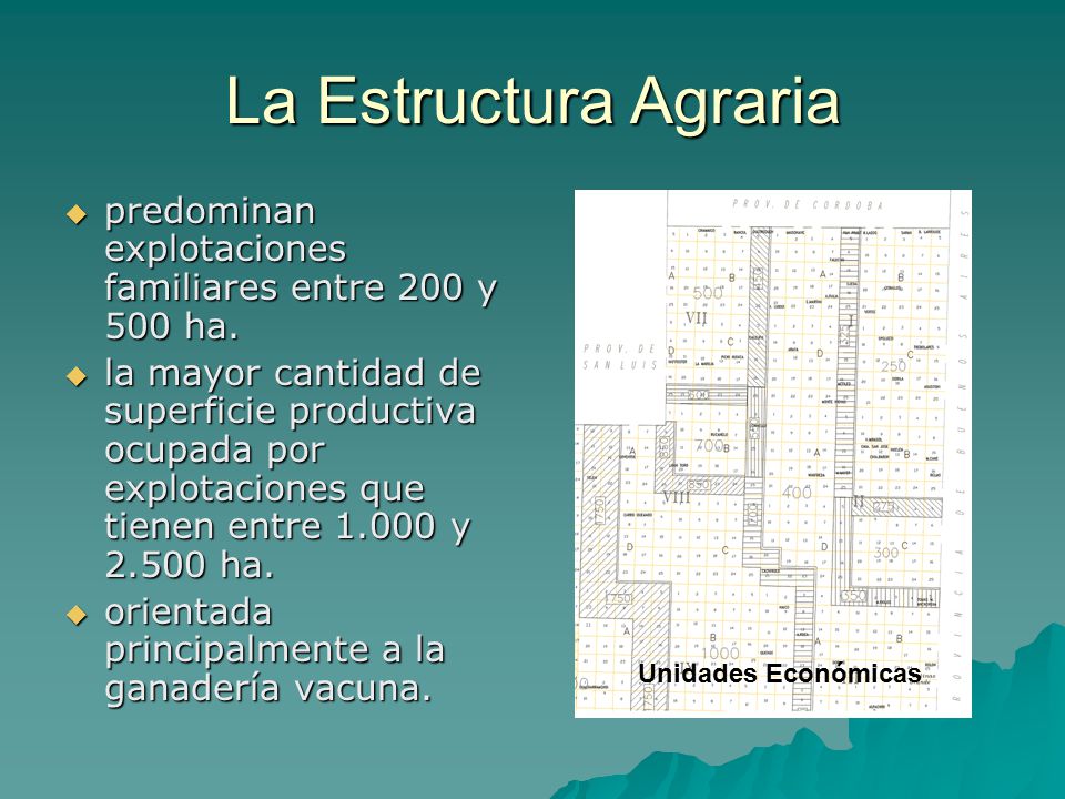 La Estructura Agraria predominan explotaciones familiares entre 200 y 500 ha.