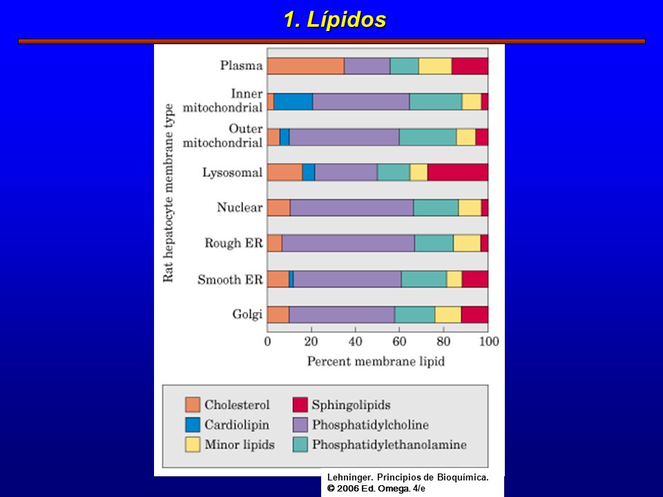 1. Lípidos Lehninger. Principios de Bioquímica. © 2006 Ed. Omega. 4/e