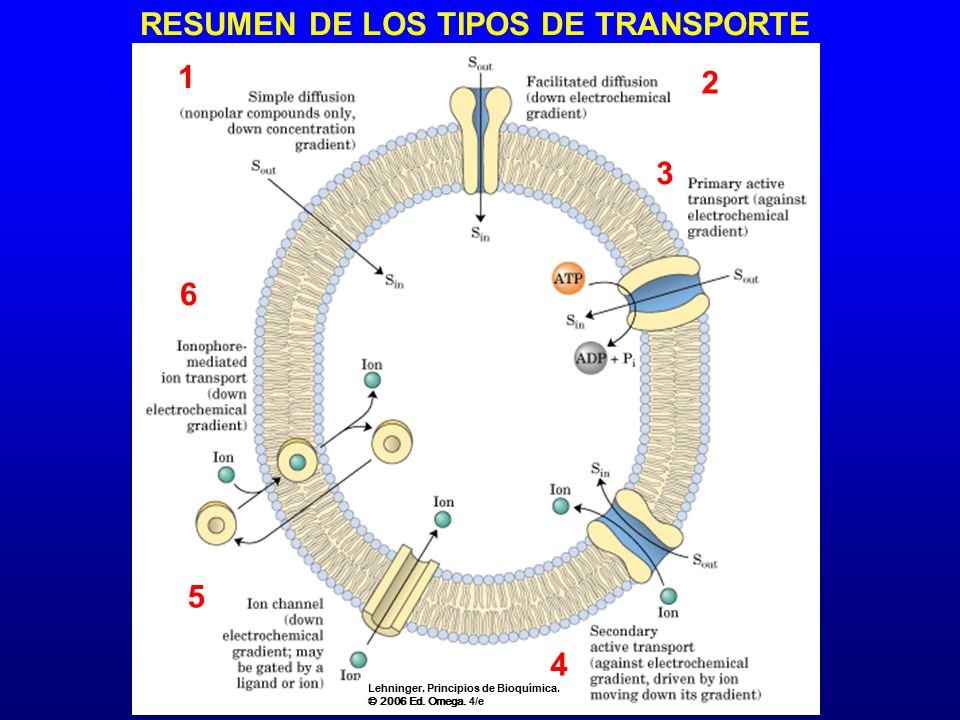 RESUMEN DE LOS TIPOS DE TRANSPORTE
