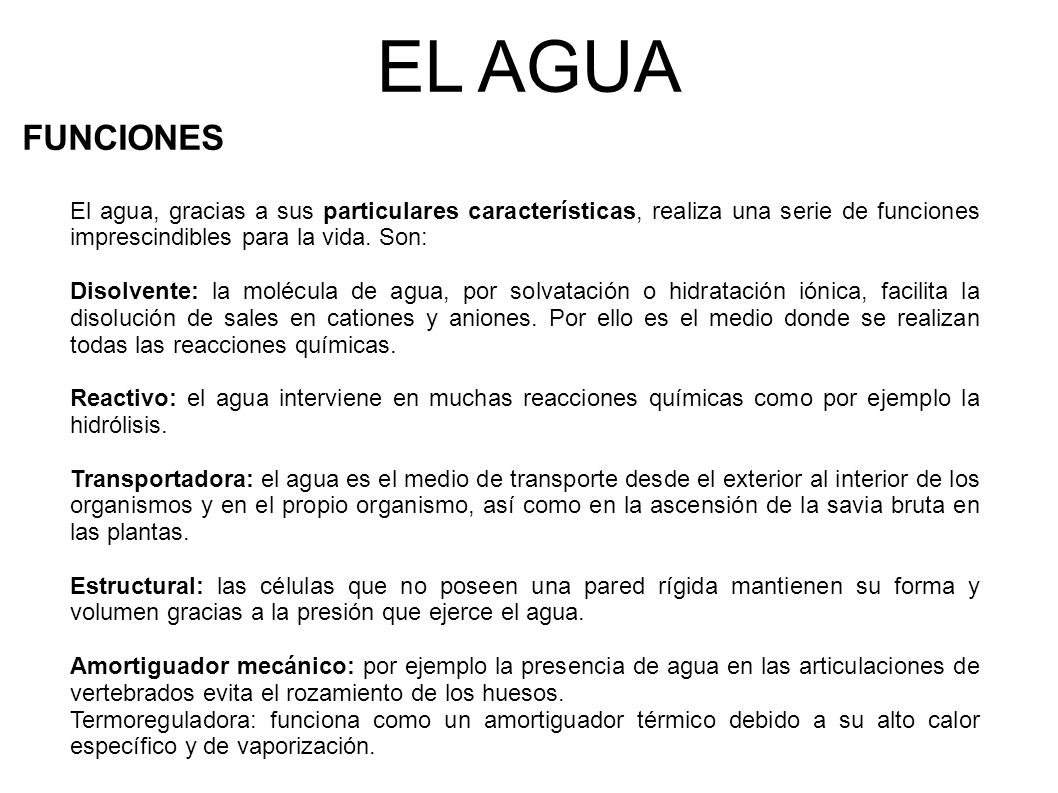 EL AGUA FUNCIONES. El agua, gracias a sus particulares características, realiza una serie de funciones imprescindibles para la vida. Son: