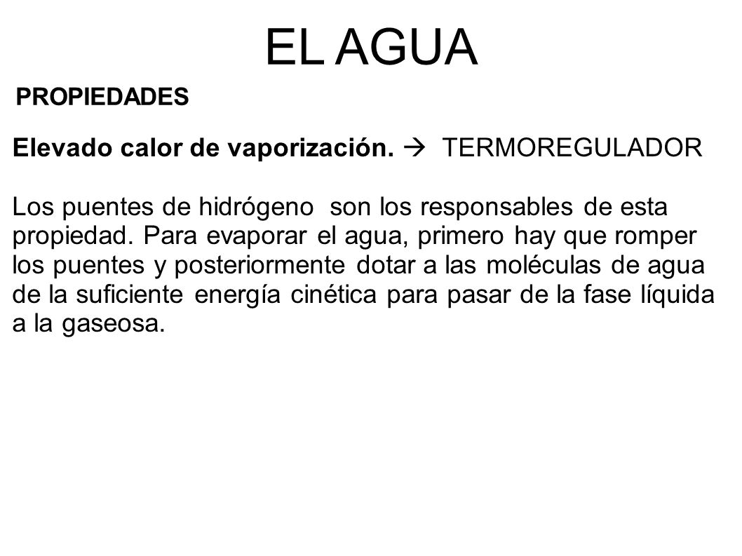 EL AGUA Elevado calor de vaporización.  TERMOREGULADOR