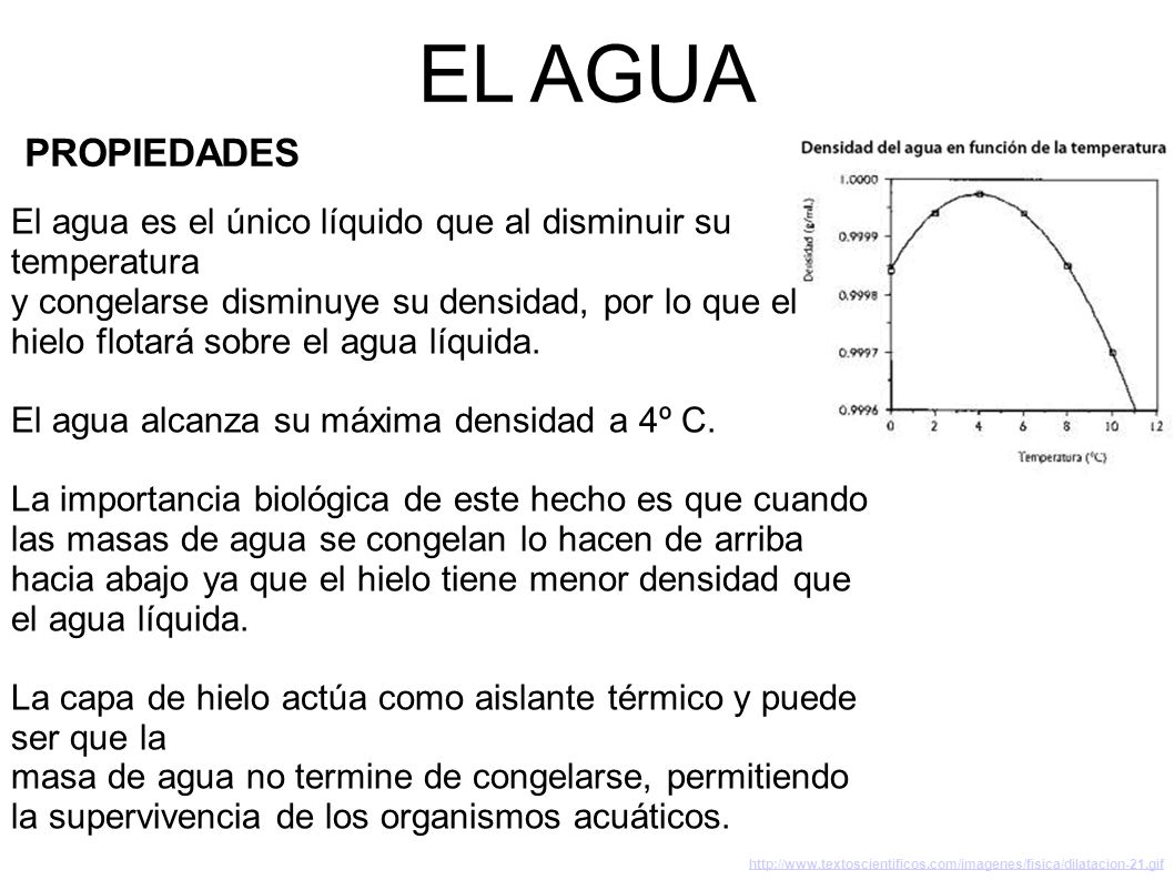 EL AGUA PROPIEDADES. El agua es el único líquido que al disminuir su temperatura.