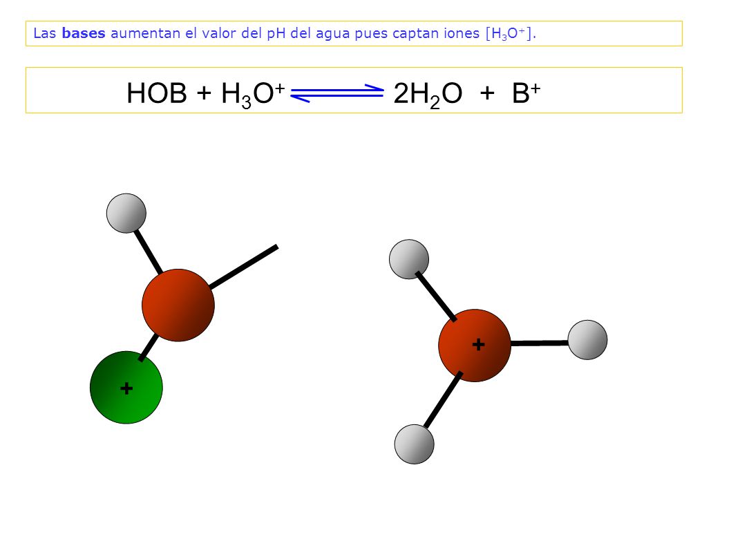 Las bases aumentan el valor del pH del agua pues captan iones [H3O+].