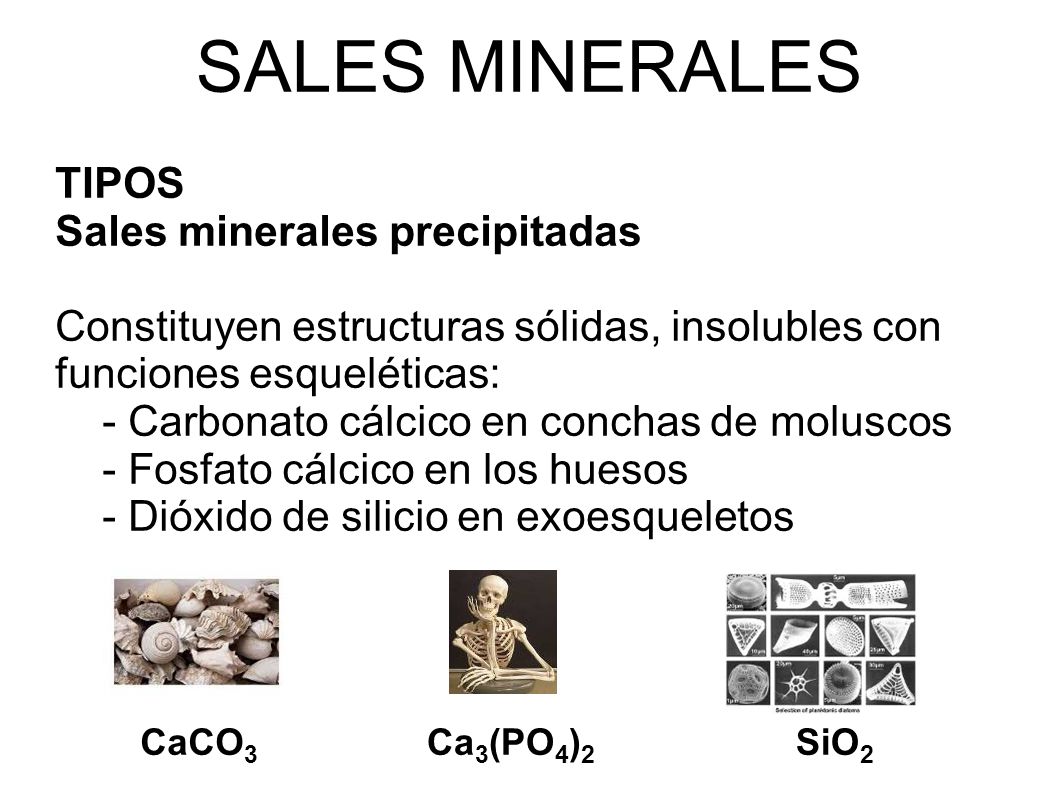 SALES MINERALES TIPOS Sales minerales precipitadas