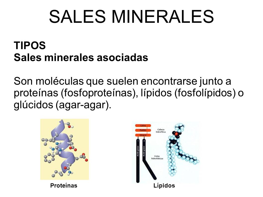 SALES MINERALES TIPOS Sales minerales asociadas