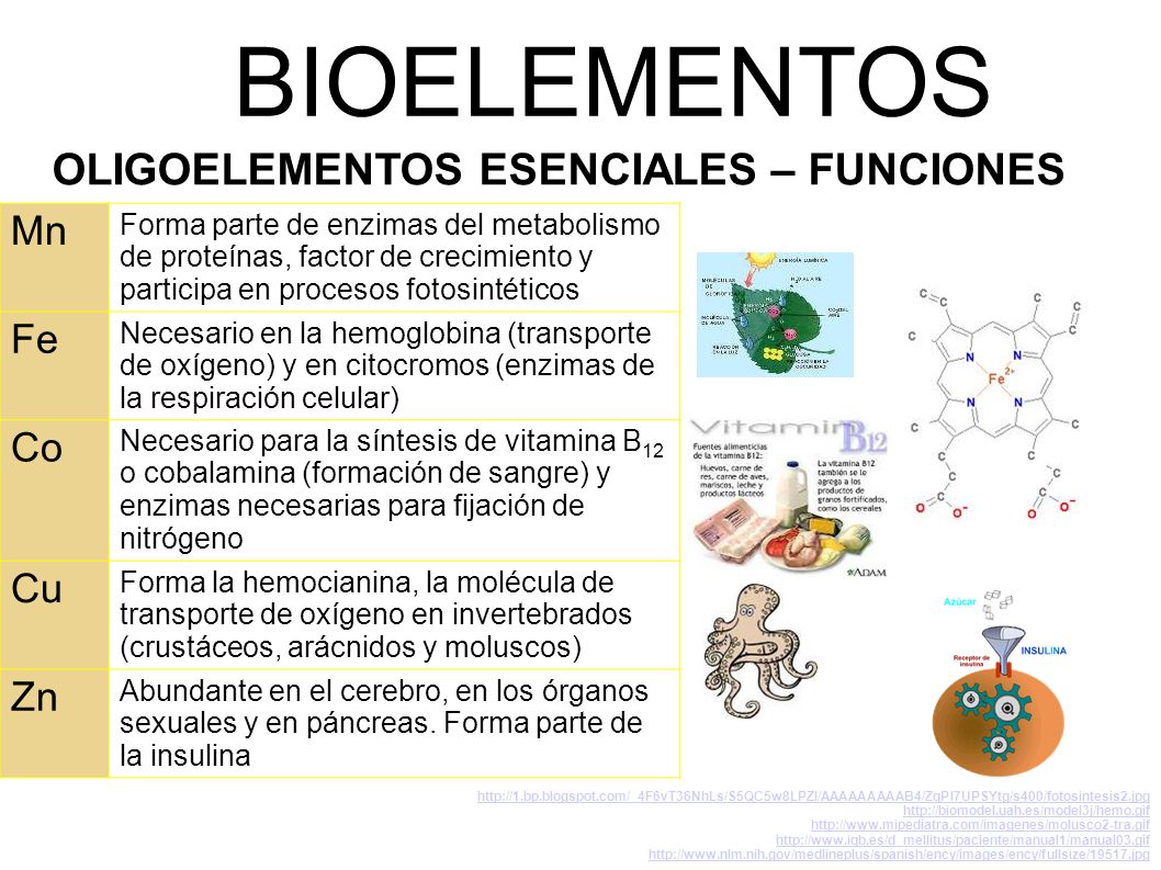 BIOELEMENTOS OLIGOELEMENTOS ESENCIALES – FUNCIONES Mn Fe Co Cu Zn