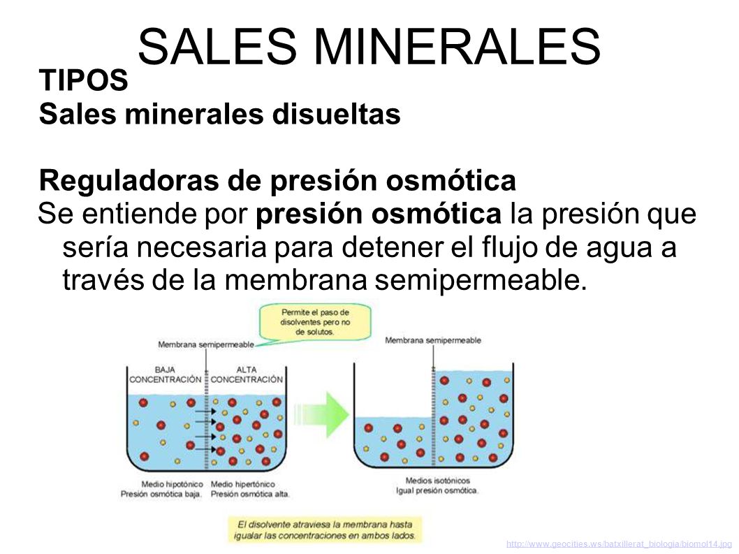 SALES MINERALES TIPOS Sales minerales disueltas