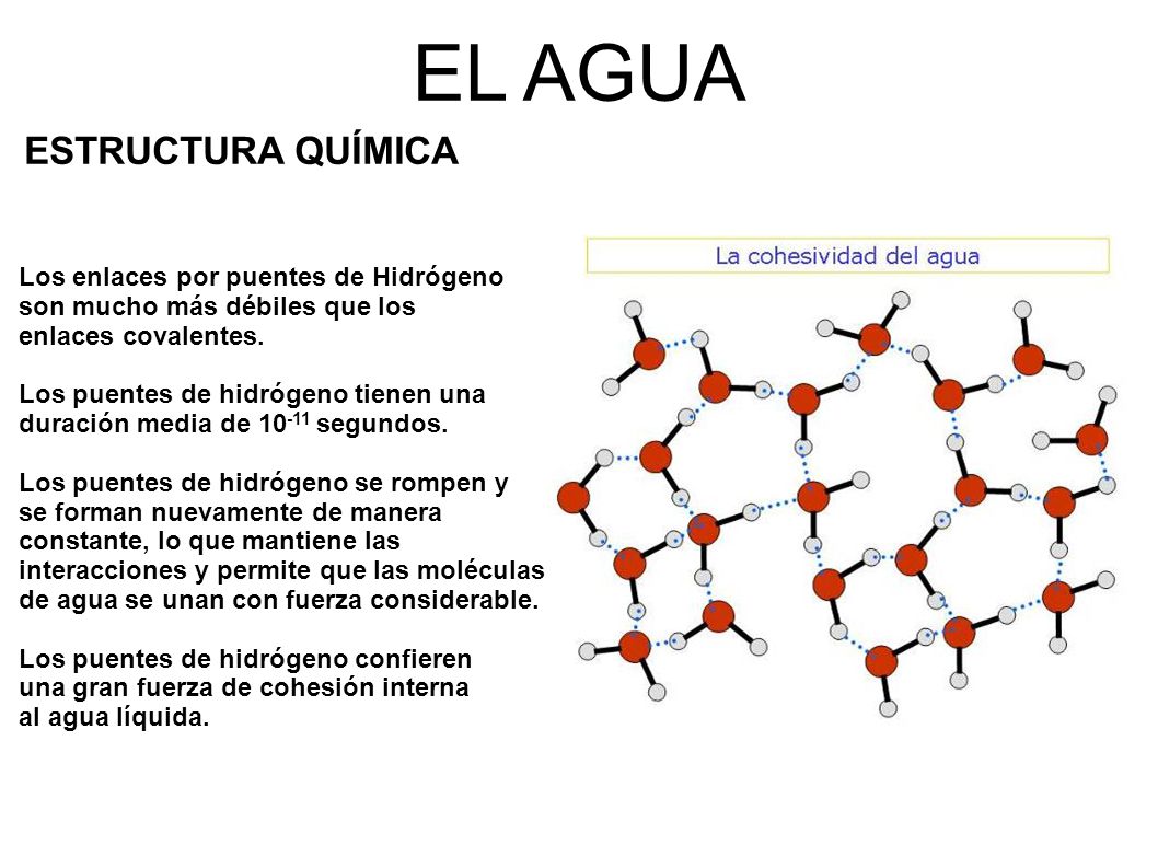EL AGUA ESTRUCTURA QUÍMICA Los enlaces por puentes de Hidrógeno