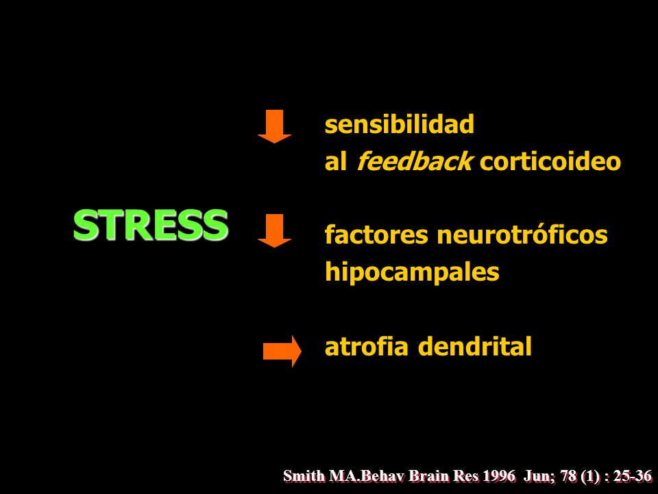 Smith MA.Behav Brain Res 1996 Jun; 78 (1) : 25-36
