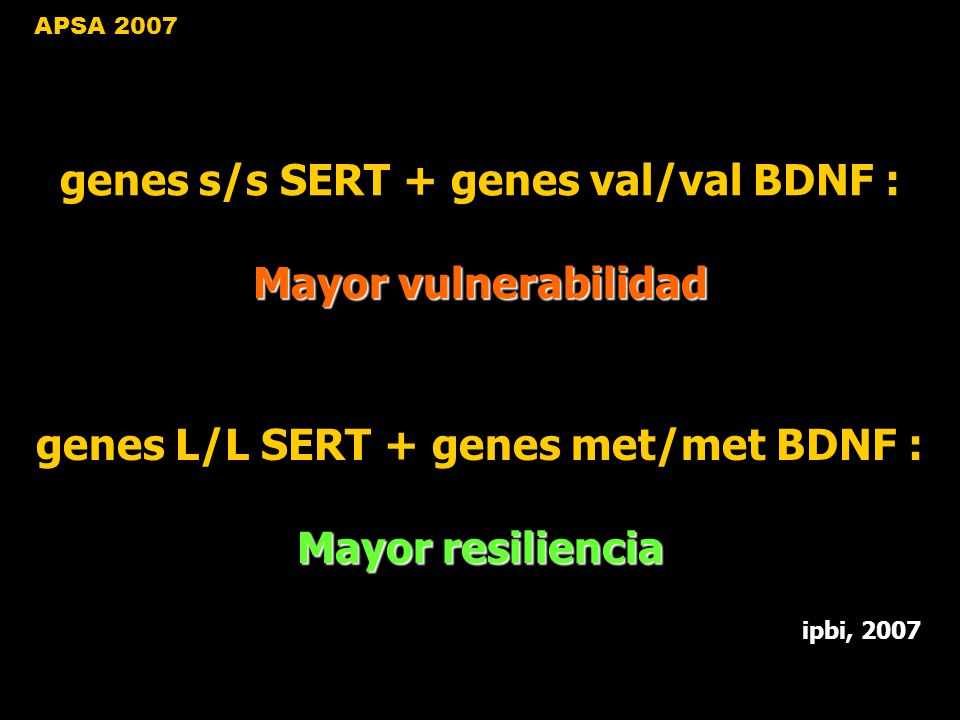 genes s/s SERT + genes val/val BDNF : Mayor vulnerabilidad