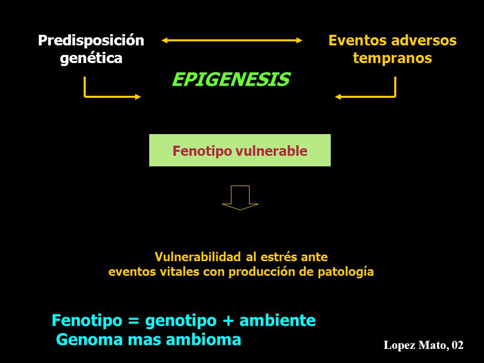 EPIGENESIS Fenotipo = genotipo + ambiente Genoma mas ambioma