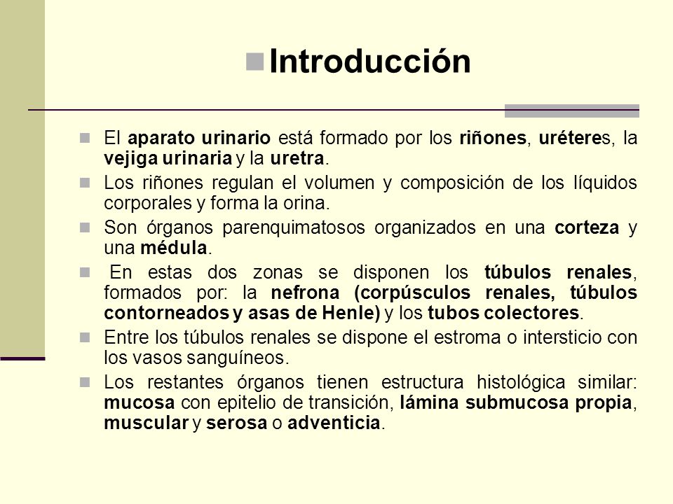 Introducción El aparato urinario está formado por los riñones, uréteres, la vejiga urinaria y la uretra.