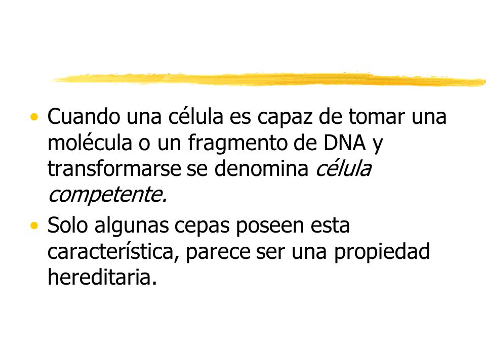 Cuando una célula es capaz de tomar una molécula o un fragmento de DNA y transformarse se denomina célula competente.