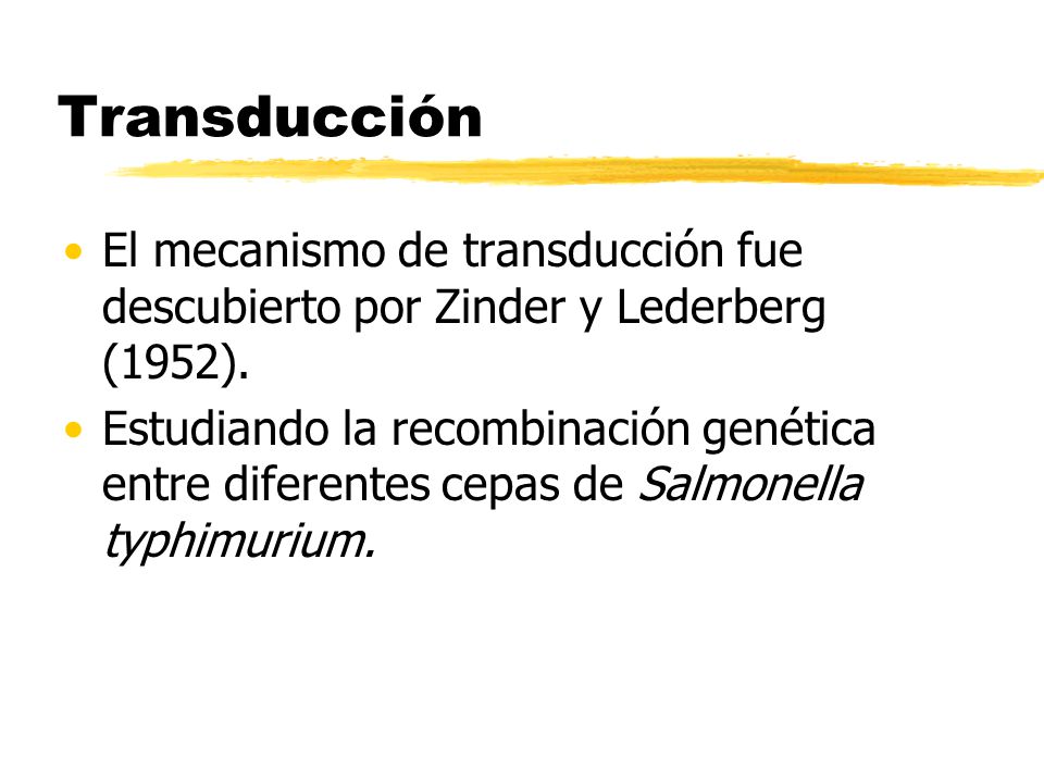 Transducción El mecanismo de transducción fue descubierto por Zinder y Lederberg (1952).