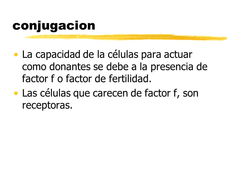 conjugacion La capacidad de la células para actuar como donantes se debe a la presencia de factor f o factor de fertilidad.
