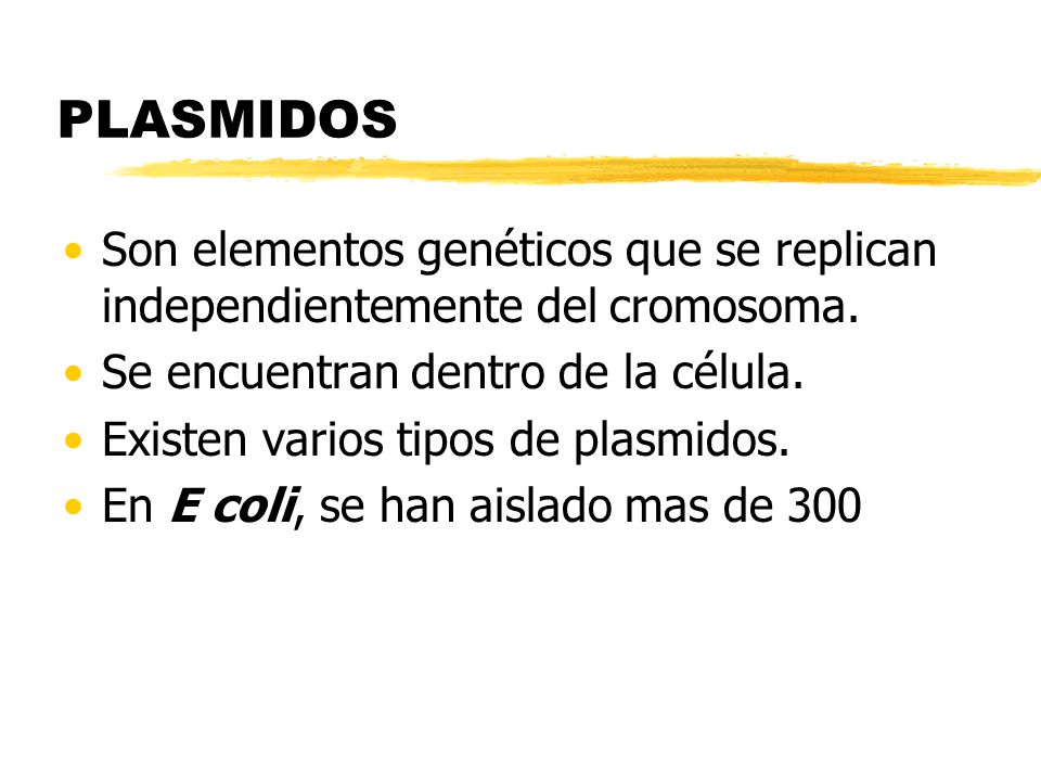 PLASMIDOS Son elementos genéticos que se replican independientemente del cromosoma. Se encuentran dentro de la célula.
