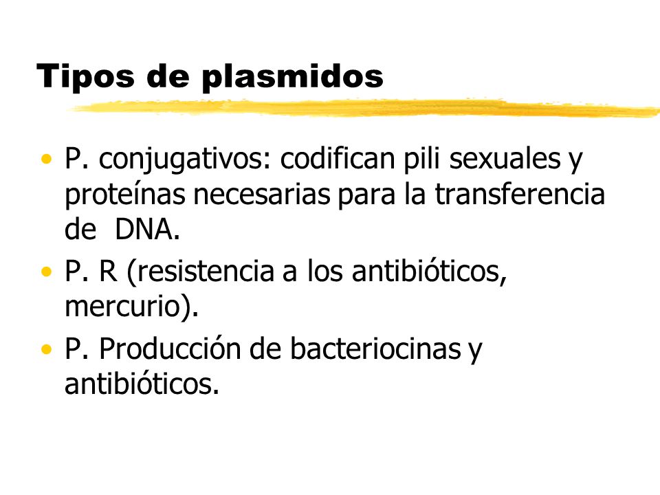 Tipos de plasmidos P. conjugativos: codifican pili sexuales y proteínas necesarias para la transferencia de DNA.