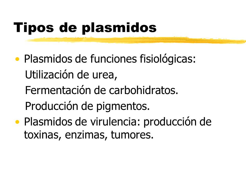 Tipos de plasmidos Plasmidos de funciones fisiológicas: