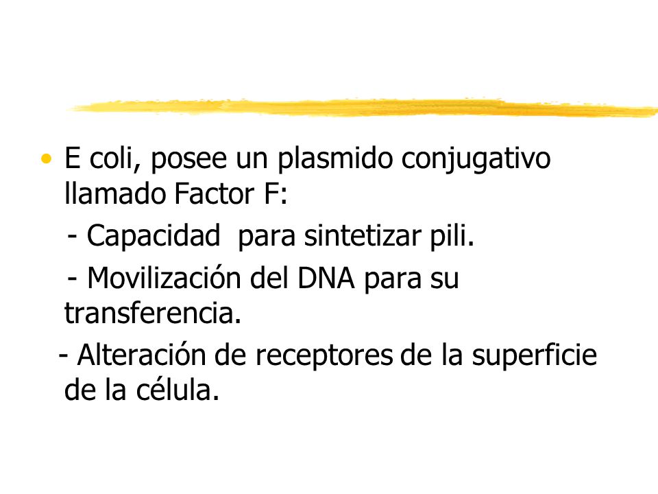 E coli, posee un plasmido conjugativo llamado Factor F: