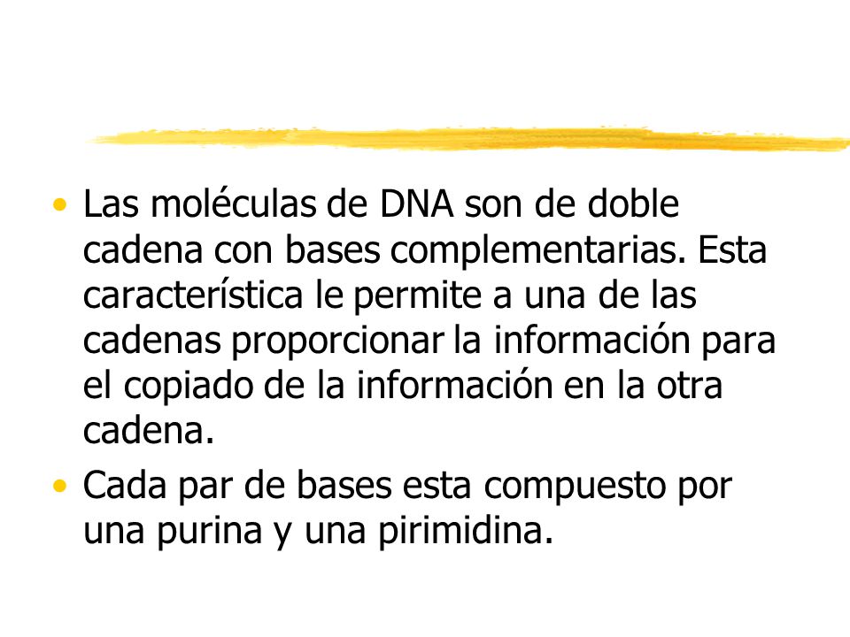 Las moléculas de DNA son de doble cadena con bases complementarias