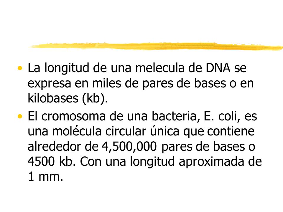La longitud de una melecula de DNA se expresa en miles de pares de bases o en kilobases (kb).