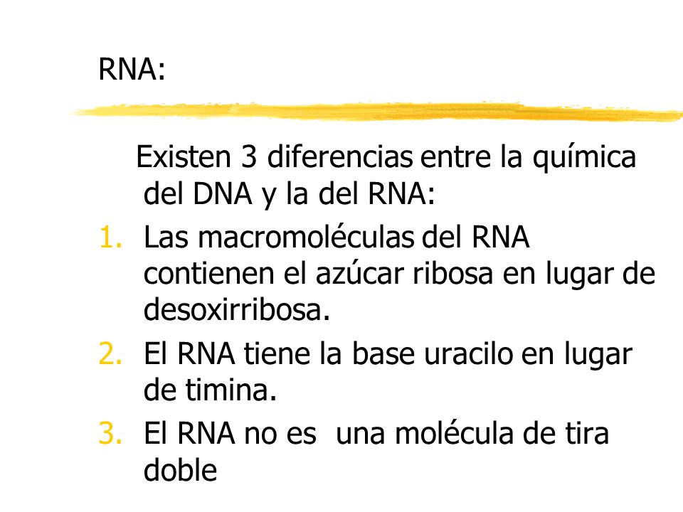 RNA: Existen 3 diferencias entre la química del DNA y la del RNA: Las macromoléculas del RNA contienen el azúcar ribosa en lugar de desoxirribosa.