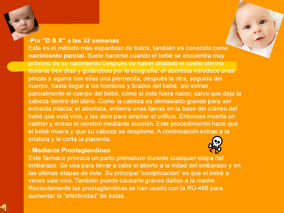Por D & X a las 32 semanas Este es el método más espantoso de todos, también es conocido como nacimiento parcial. Suele hacerse cuando el bebé se encuentra muy próximo de su nacimiento Después de haber dilatado el cuello uterino durante tres días y guiándose por la ecografía, el abortista introduce unas pinzas y agarra con ellas una piernecita, después la otra, seguida del cuerpo, hasta llegar a los hombros y brazos del bebé. así extrae parcialmente el cuerpo del bebé, como si éste fuera nacer, salvo que deja la cabeza dentro del útero. Como la cabeza es demasiado grande para ser extraída intacta; el abortista, entierra unas tijeras en la base del cráneo del bebé que está vivo, y las abre para ampliar el orificio. Entonces inserta un catéter y extrae el cerebro mediante succión. Este procedimiento hace que el bebé muera y que su cabeza se desplome. A continuación extrae a la criatura y le corta la placenta.