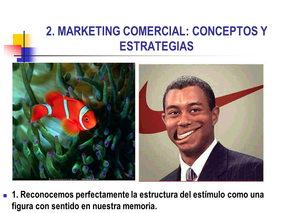 2. MARKETING COMERCIAL: CONCEPTOS Y ESTRATEGIAS