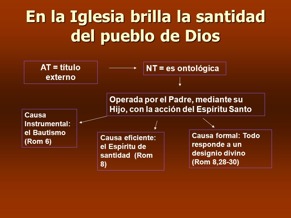 En la Iglesia brilla la santidad del pueblo de Dios