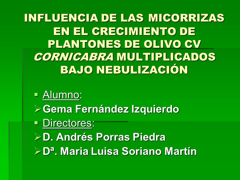 INFLUENCIA DE LAS MICORRIZAS EN EL CRECIMIENTO DE PLANTONES DE OLIVO CV CORNICABRA MULTIPLICADOS BAJO NEBULIZACIÓN