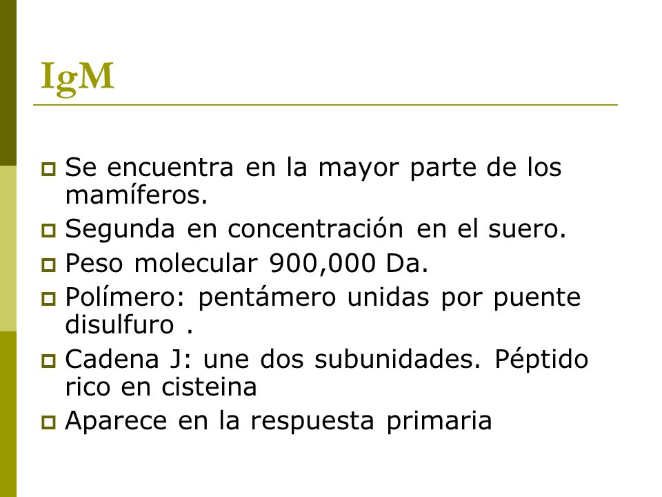 IgM Se encuentra en la mayor parte de los mamíferos.
