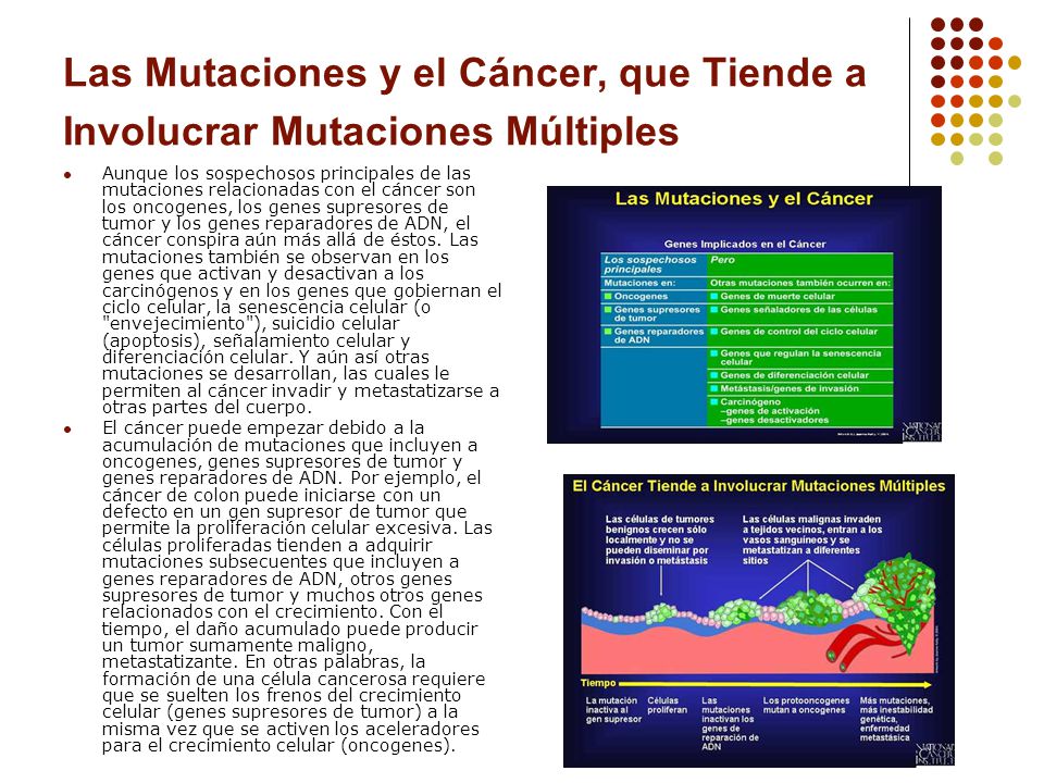 Las Mutaciones y el Cáncer, que Tiende a Involucrar Mutaciones Múltiples