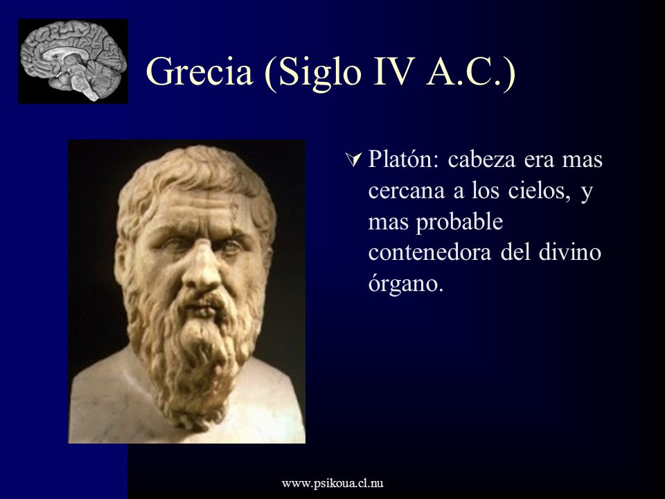 Grecia (Siglo IV A.C.) Platón: cabeza era mas cercana a los cielos, y mas probable contenedora del divino órgano.