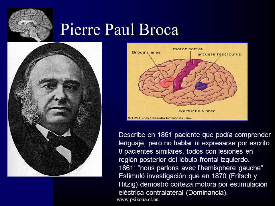 Pierre Paul Broca Describe en 1861 paciente que podía comprender lenguaje, pero no hablar ni expresarse por escrito.