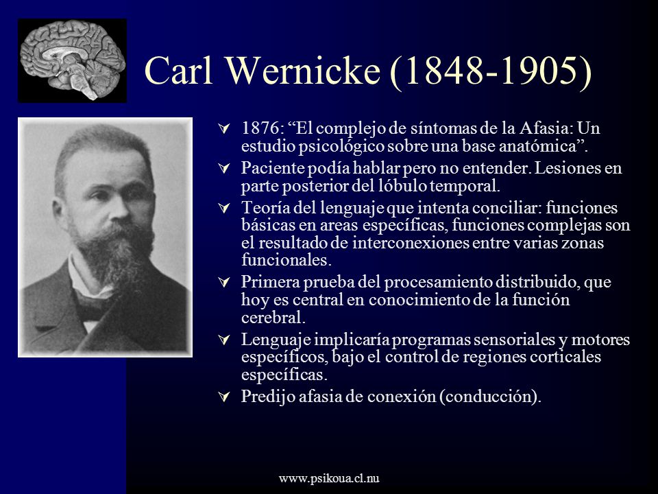 Carl Wernicke ( ) 1876: El complejo de síntomas de la Afasia: Un estudio psicológico sobre una base anatómica .