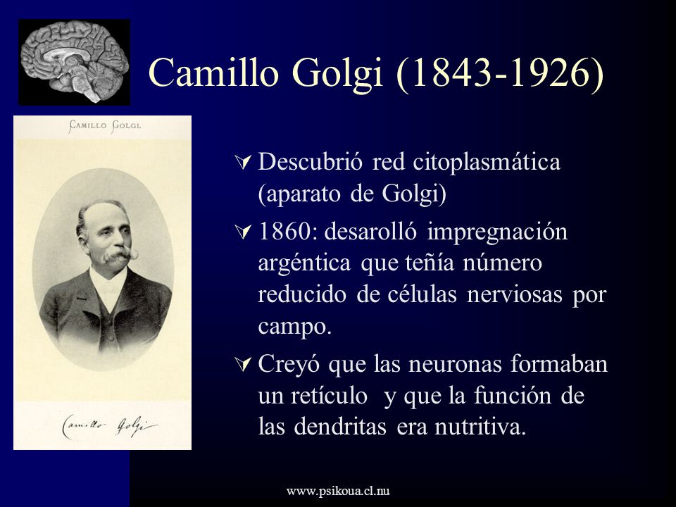 Camillo Golgi ( ) Descubrió red citoplasmática (aparato de Golgi)