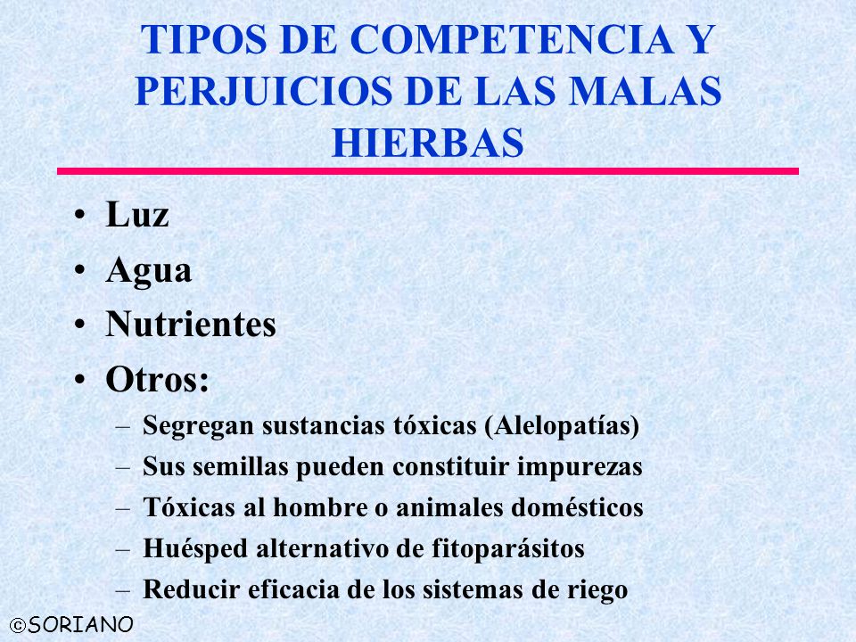 TIPOS DE COMPETENCIA Y PERJUICIOS DE LAS MALAS HIERBAS