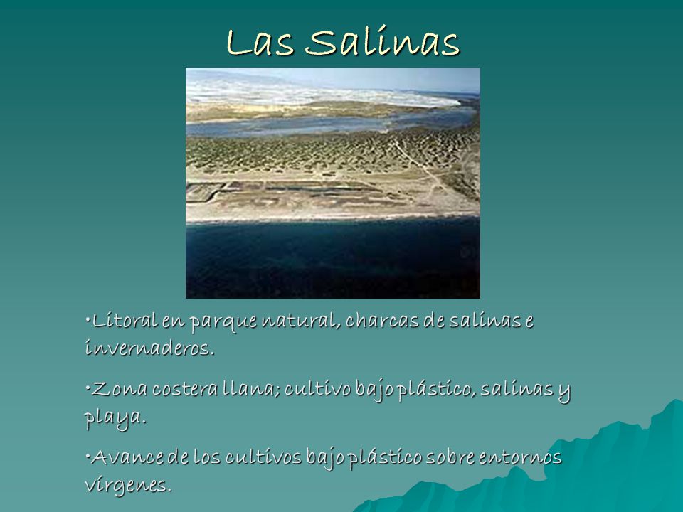Las Salinas Litoral en parque natural, charcas de salinas e invernaderos. Zona costera llana; cultivo bajo plástico, salinas y playa.
