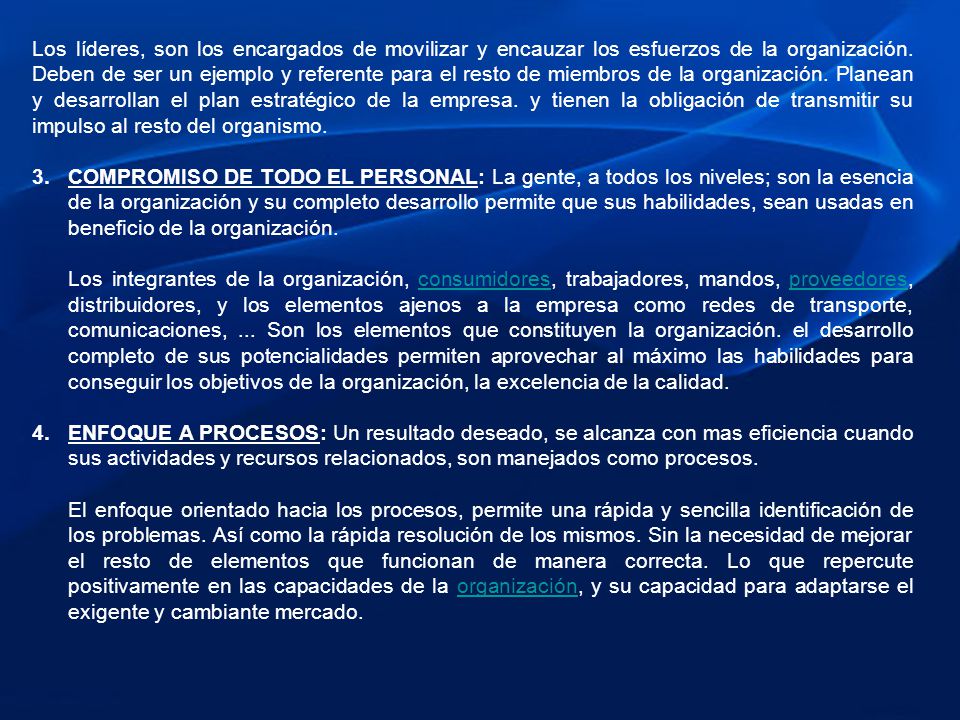 Los líderes, son los encargados de movilizar y encauzar los esfuerzos de la organización. Deben de ser un ejemplo y referente para el resto de miembros de la organización. Planean y desarrollan el plan estratégico de la empresa. y tienen la obligación de transmitir su impulso al resto del organismo.