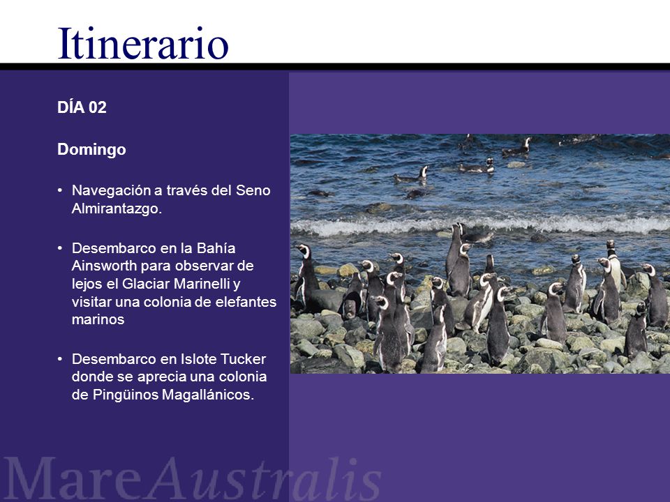 Itinerario DÍA 02 Domingo Navegación a través del Seno Almirantazgo.