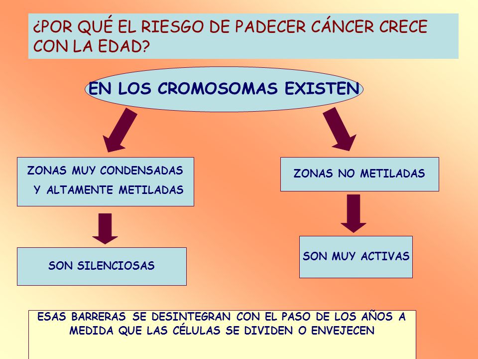 ¿POR QUÉ EL RIESGO DE PADECER CÁNCER CRECE CON LA EDAD