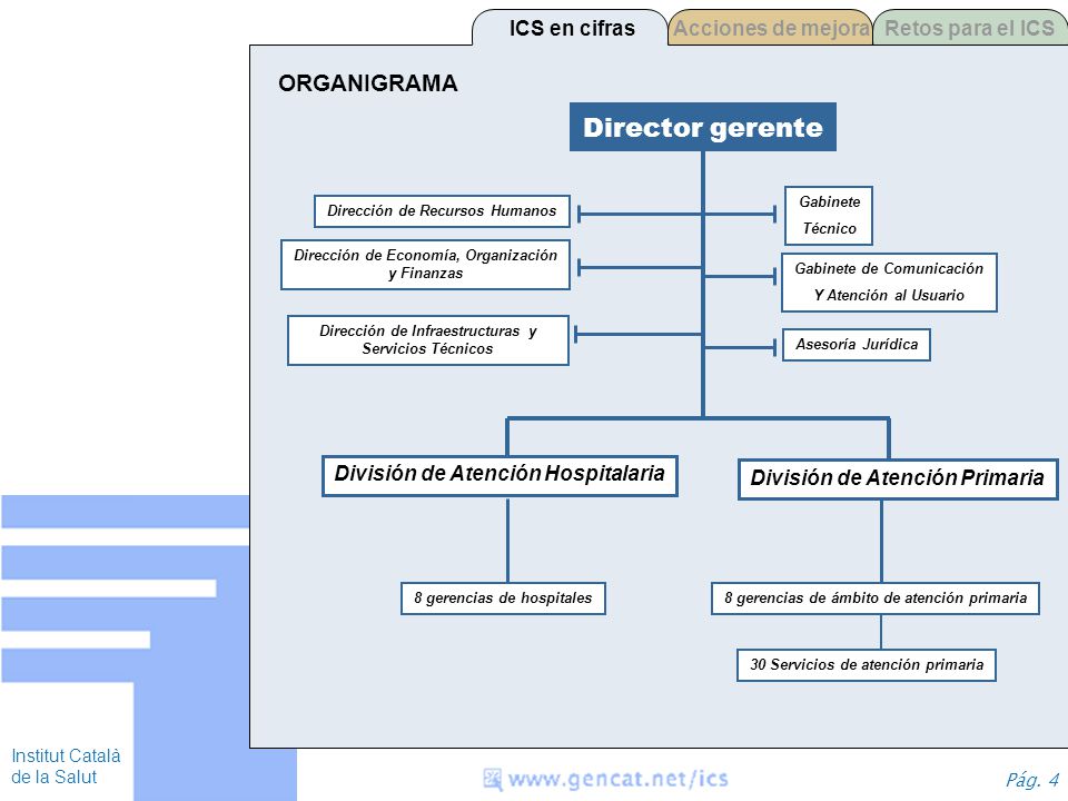 Director gerente ORGANIGRAMA ICS en cifras Acciones de mejora