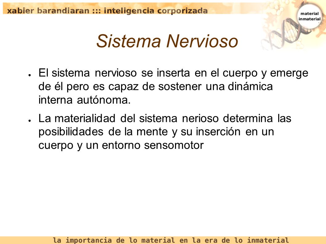 Sistema Nervioso El sistema nervioso se inserta en el cuerpo y emerge de él pero es capaz de sostener una dinámica interna autónoma.