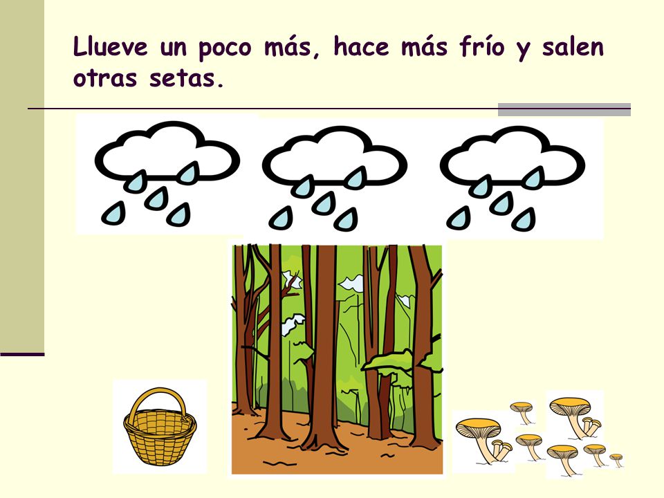 Llueve un poco más, hace más frío y salen otras setas.