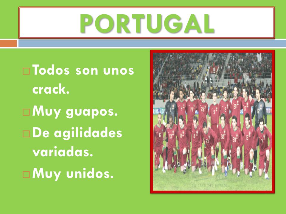 PORTUGAL Todos son unos crack. Muy guapos. De agilidades variadas.