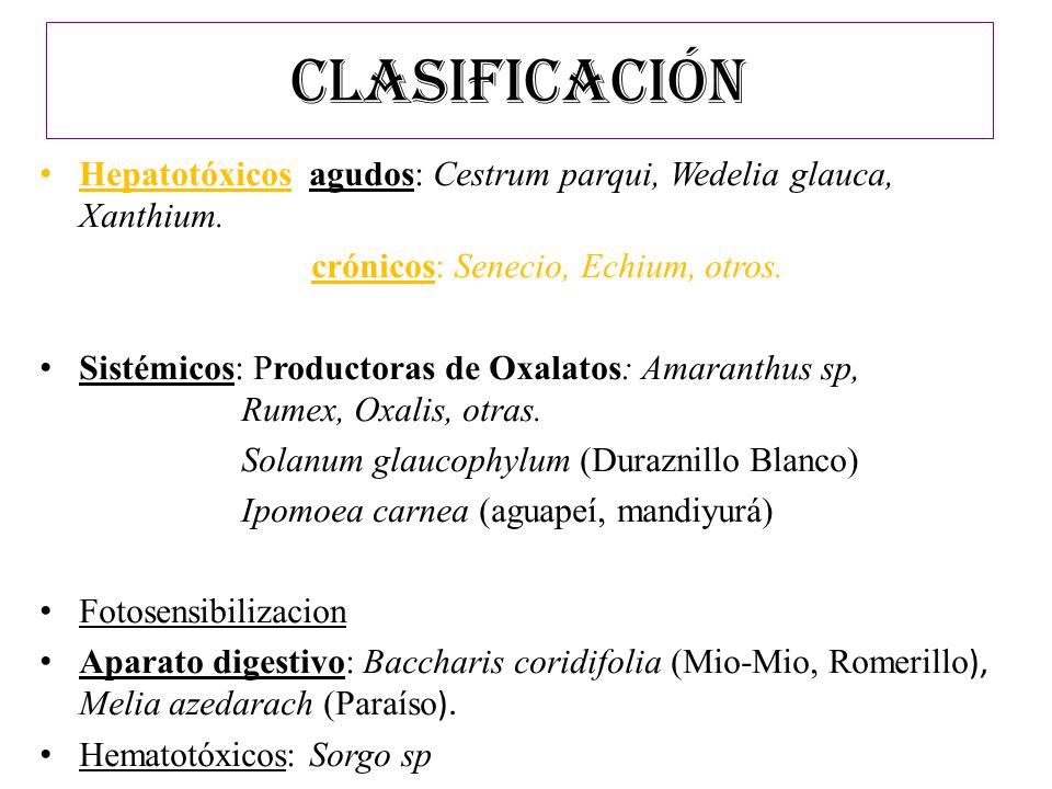 CLASIFICACIÓN Hepatotóxicos agudos: Cestrum parqui, Wedelia glauca, Xanthium. crónicos: Senecio, Echium, otros.