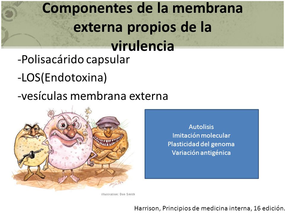 Componentes de la membrana externa propios de la virulencia