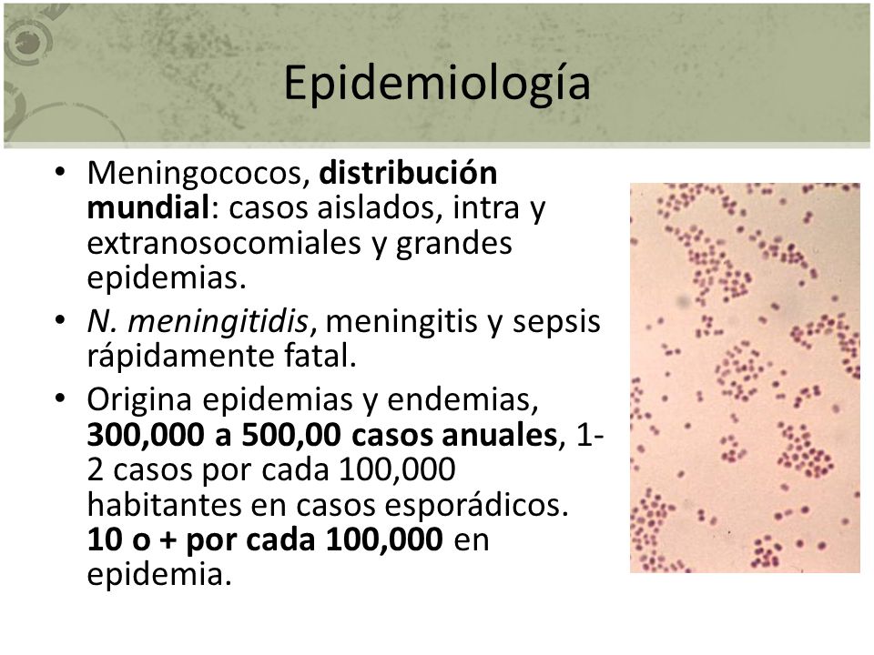 Epidemiología Meningococos, distribución mundial: casos aislados, intra y extranosocomiales y grandes epidemias.