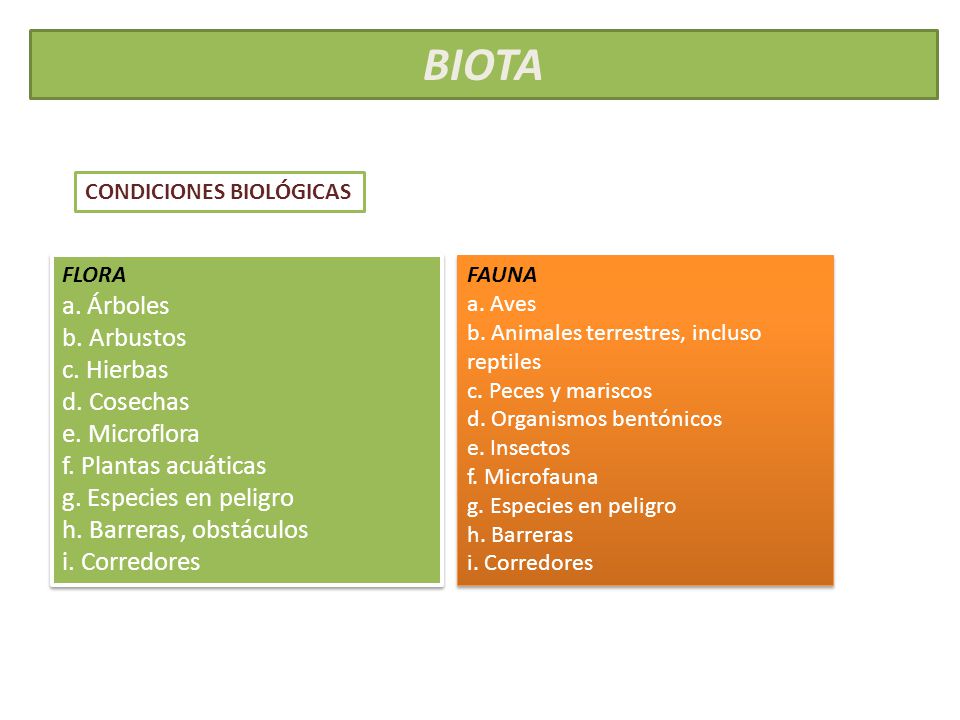 BIOTA a. Árboles b. Arbustos c. Hierbas d. Cosechas e. Microflora