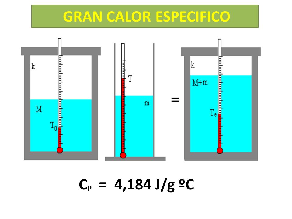 ¿Cómo el calor específico del agua modifica el ambiente
